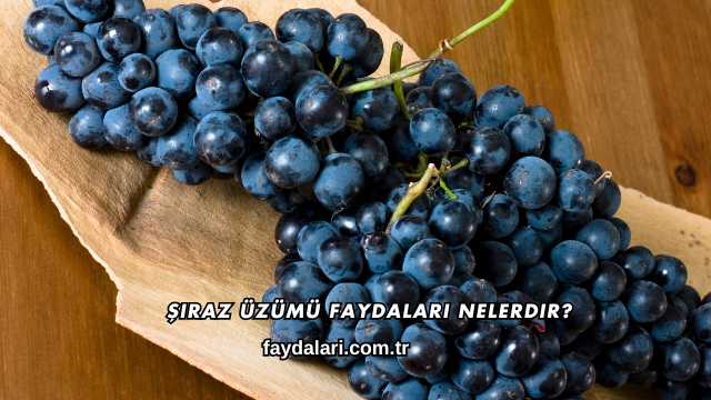 Şiraz Üzümü Faydaları Nelerdir?