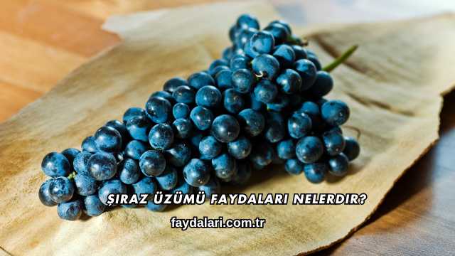 Şiraz Üzümü Faydaları Nelerdir?
