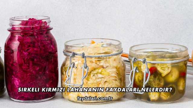 Sirkeli Kırmızı Lahananın Faydaları Nelerdir?