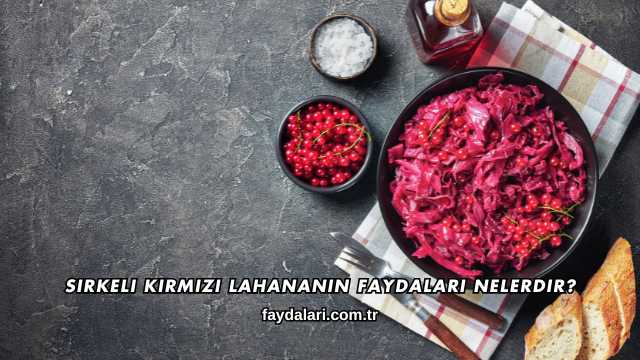 Sirkeli Kırmızı Lahananın Faydaları Nelerdir?