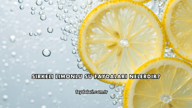 Sirkeli Limonlu Su Faydaları Nelerdir?