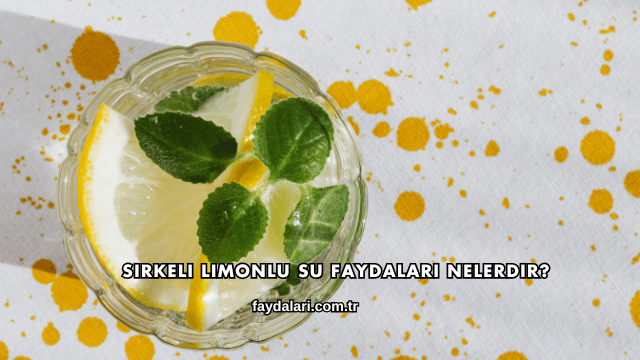 Sirkeli Limonlu Su Faydaları Nelerdir?