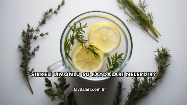 Sirkeli Limonlu Su Faydaları Nelerdir?