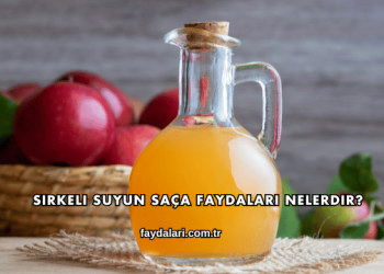 Sirkeli Suyun Saça Faydaları Nelerdir?