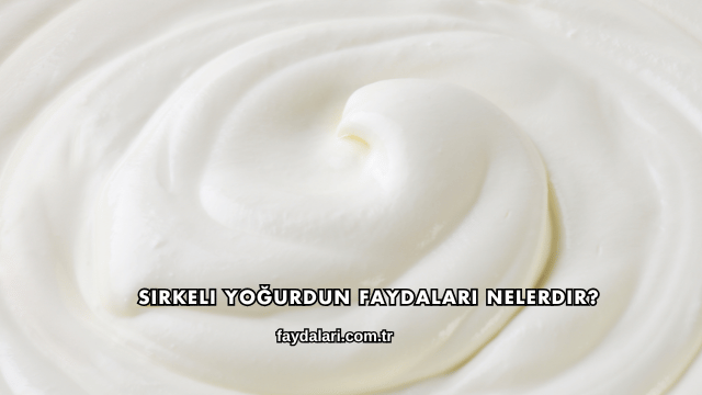 Sirkeli Yoğurdun Faydaları Nelerdir?