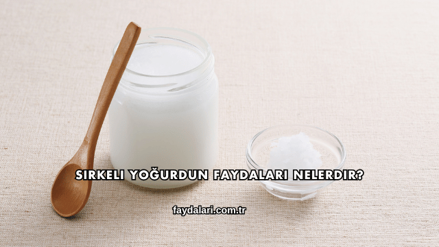 Sirkeli Yoğurdun Faydaları Nelerdir?