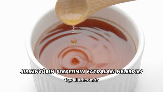 Sirkencübin Şerbetinin Faydaları Nelerdir?