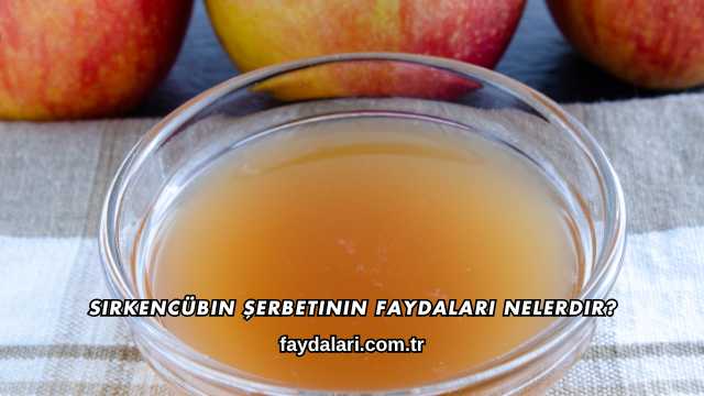 Sirkencübin Şerbetinin Faydaları Nelerdir?