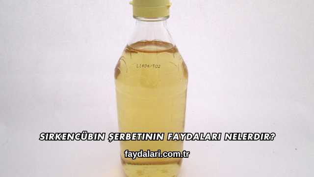Sirkencübin Şerbetinin Faydaları Nelerdir?