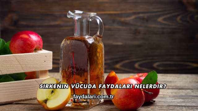 Sirkenin Vücuda Faydaları Nelerdir?