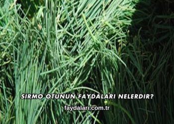 Sirmo Otunun Faydaları Nelerdir?