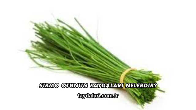 Sirmo Otunun Faydaları Nelerdir?
