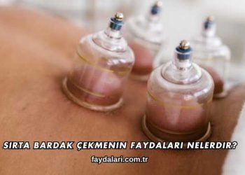 Sırta Bardak Çekmenin Faydaları Nelerdir?
