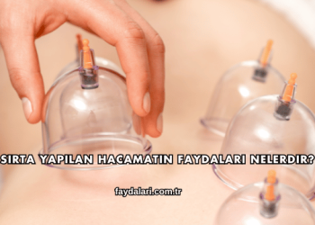 Sırta Yapılan Hacamatın Faydaları Nelerdir?