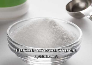 Sitrik Asit Faydaları Nelerdir?
