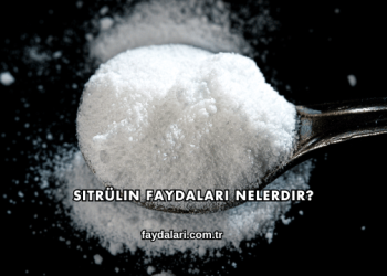 Sitrülin Faydaları Nelerdir?