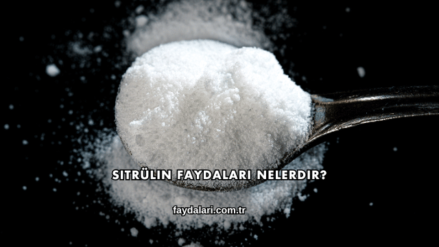 Sitrülin Faydaları Nelerdir?