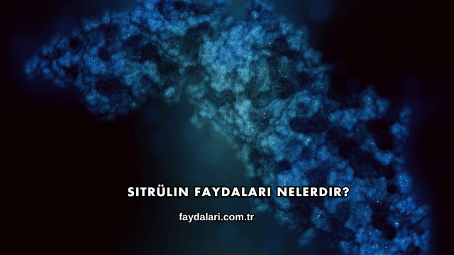 Sitrülin Faydaları Nelerdir?