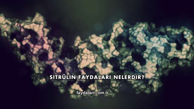 Sitrülin Faydaları Nelerdir?