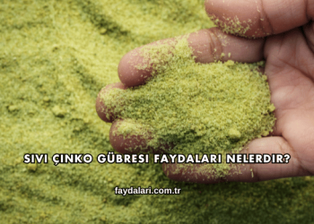 Sıvı Çinko Gübresi Faydaları Nelerdir?