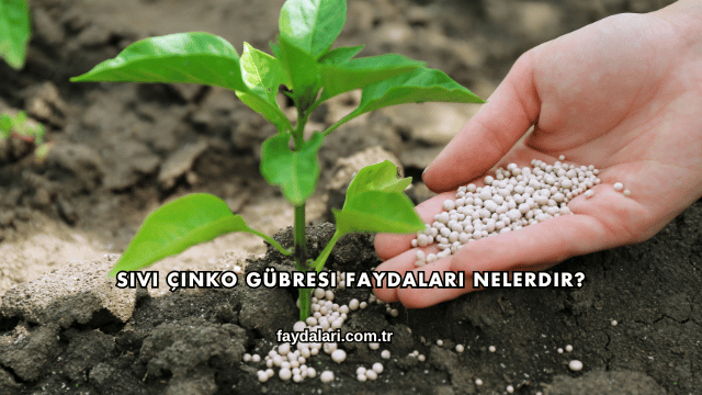 Sıvı Çinko Gübresi Faydaları Nelerdir?