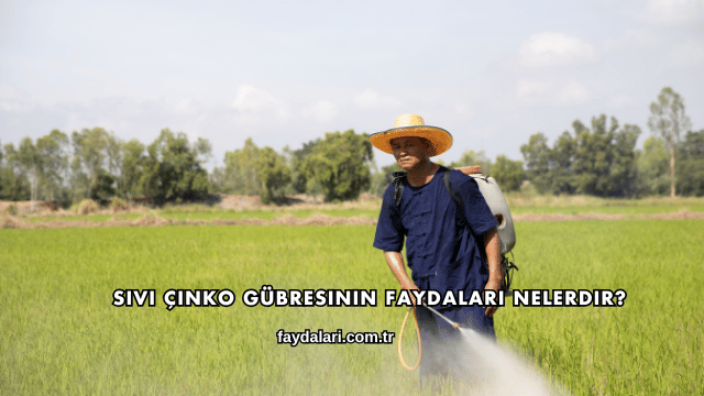 Sıvı Çinko Gübresinin Faydaları Nelerdir?
