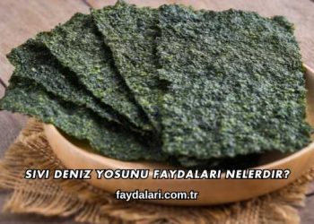 Sıvı Deniz Yosunu Faydaları Nelerdir?