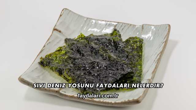 Sıvı Deniz Yosunu Faydaları Nelerdir?