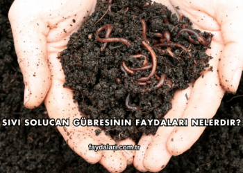 Sıvı Solucan Gübresinin Faydaları Nelerdir?