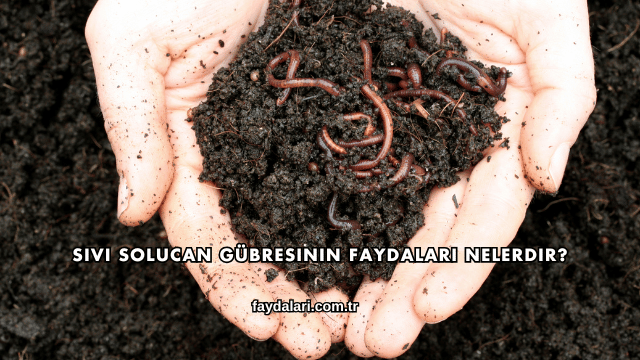 Sıvı Solucan Gübresinin Faydaları Nelerdir?