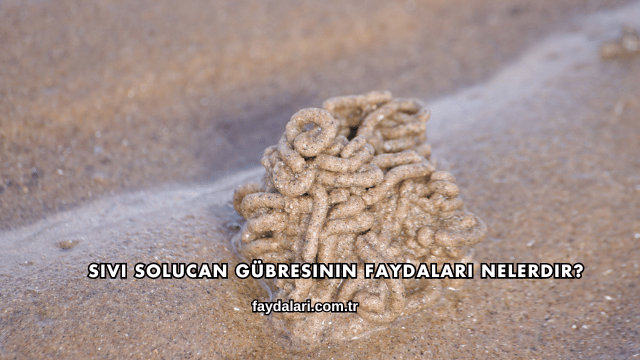 Sıvı Solucan Gübresinin Faydaları Nelerdir?