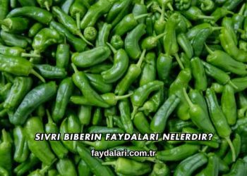 Sivri Biberin Faydaları Nelerdir?