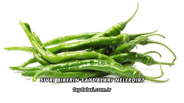Sivri Biberin Faydaları Nelerdir?