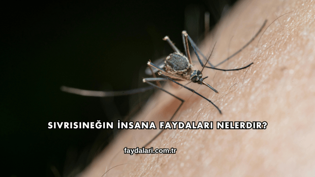 Sivrisineğin İnsana Faydaları Nelerdir?