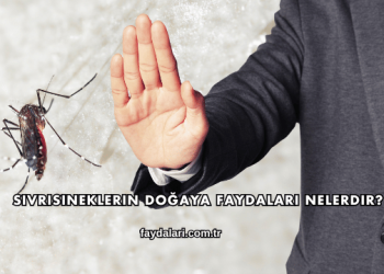 Sivrisineklerin Doğaya Faydaları Nelerdir?