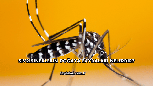 Sivrisineklerin Doğaya Faydaları Nelerdir?