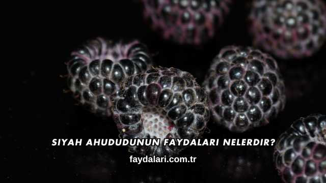 Siyah Ahududunun Faydaları Nelerdir?