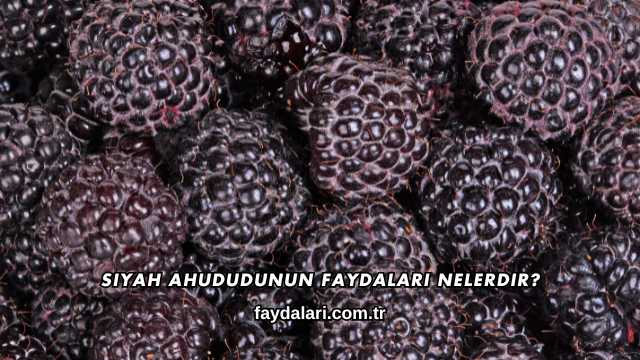 Siyah Ahududunun Faydaları Nelerdir?