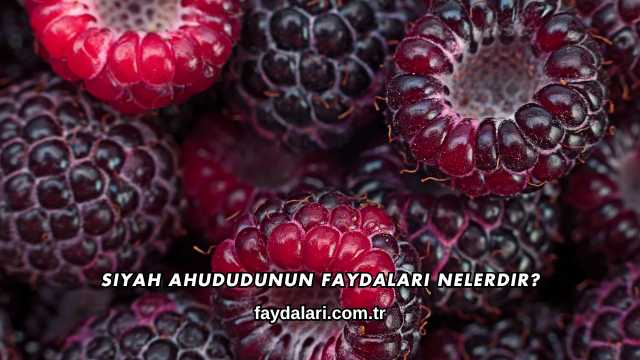 Siyah Ahududunun Faydaları Nelerdir?