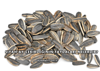 Siyah Ay Çekirdeğinin Faydaları Nelerdir?