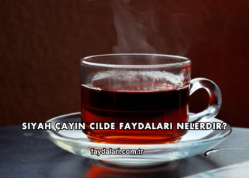 Siyah Çayın Cilde Faydaları Nelerdir?