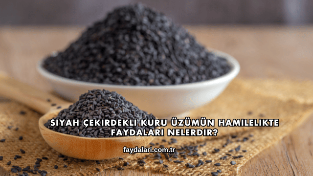 Siyah Çekirdekli Kuru Üzümün Hamilelikte Faydaları Nelerdir?