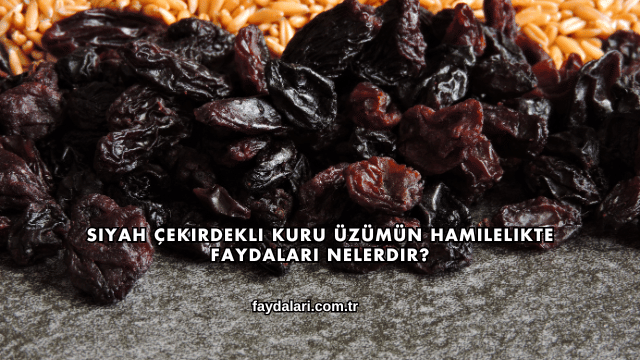 Siyah Çekirdekli Kuru Üzümün Hamilelikte Faydaları Nelerdir?