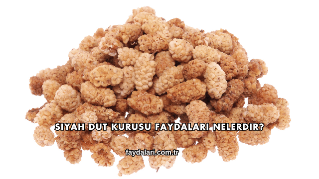 Siyah Dut Kurusu Faydaları Nelerdir?