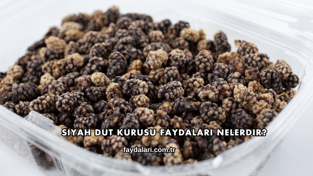 Siyah Dut Kurusu Faydaları Nelerdir?
