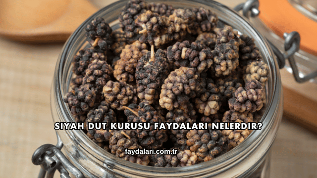 Siyah Dut Kurusu Faydaları Nelerdir?