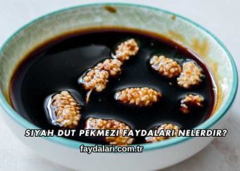 Siyah Dut Pekmezi Faydaları Nelerdir?