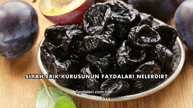 Siyah Erik Kurusunun Faydaları Nelerdir?