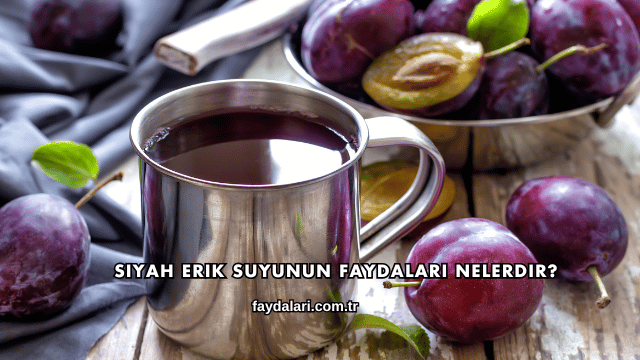 Siyah Erik Suyunun Faydaları Nelerdir?