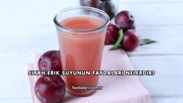 Siyah Erik Suyunun Faydaları Nelerdir?